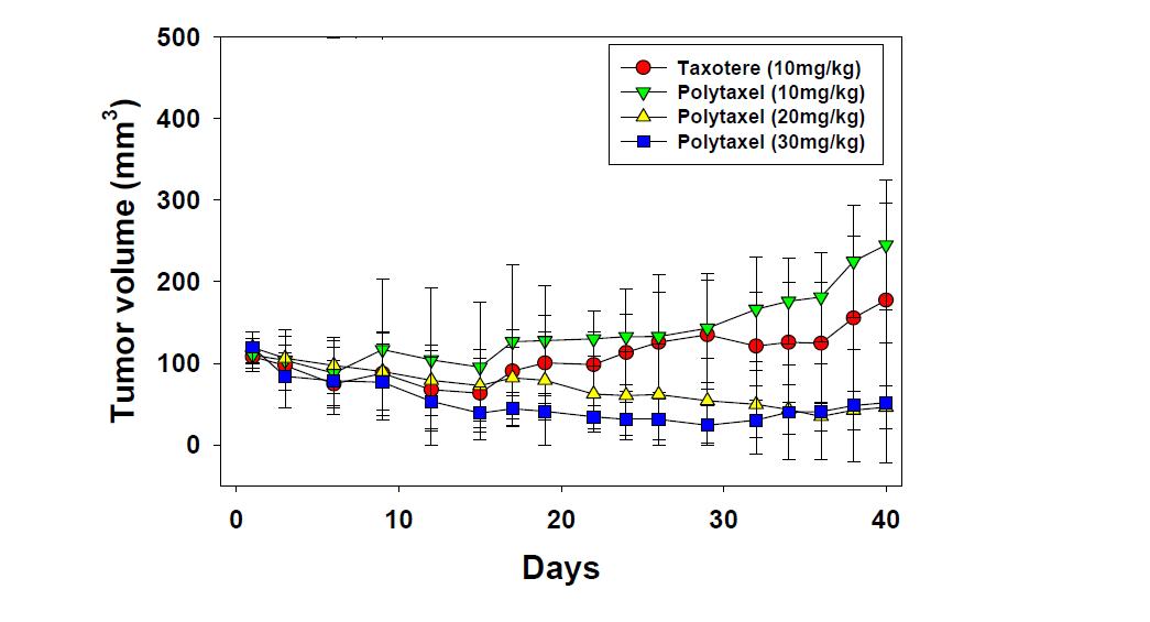 비소세포 폐암 A549로 유발된 암 모델에서의 Polytaxel과 Taxotere의 항암 효능