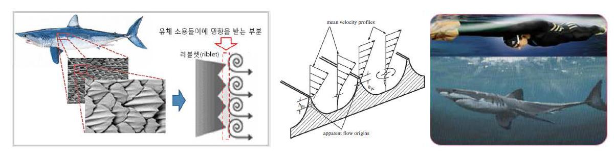 상어의 표면과 수영복 적용의 예표 3 Surface texturing의 기능과 적용 예