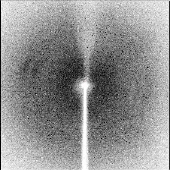 X-ray diffraction image of Est 25 crystal