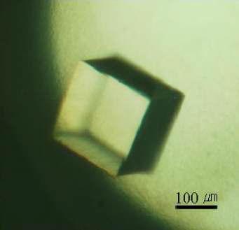 Diffraction quality crystal of Est-Y29