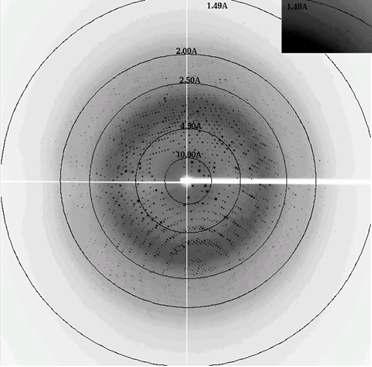 X-ray diffraction image of Est-Y29