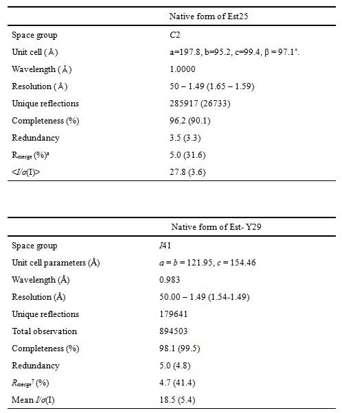 The results of X-ray diffraction of Est 25 and Est-Y29.