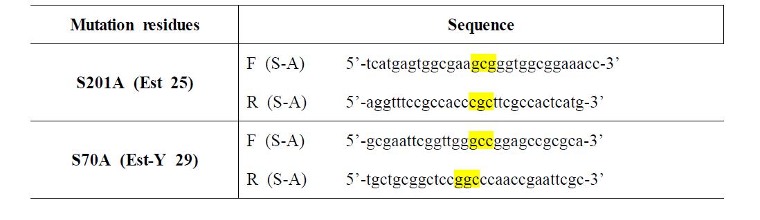 Nucleotide sequences of synthetic oligonucleotide primer sets used for site-directed mutagenesis