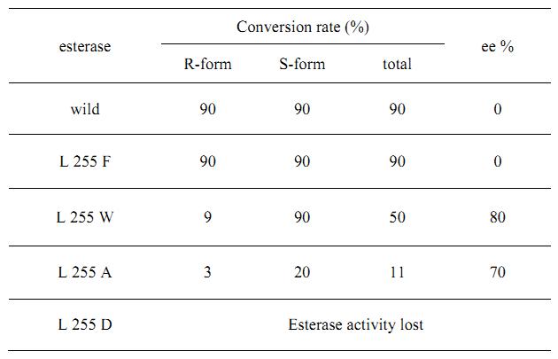 Properties of mutants with 255th amino acid substitution in kinetic resolution of (R/S)-ketoprofen ethyl ester