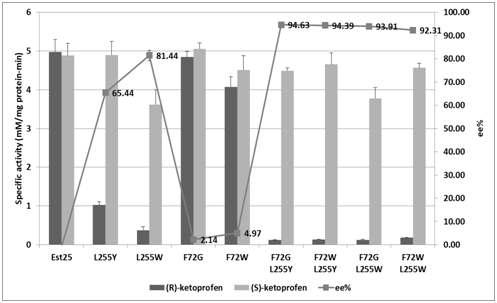 The rac-Ketoprofen hydrolysis activity of Est25 and mutants