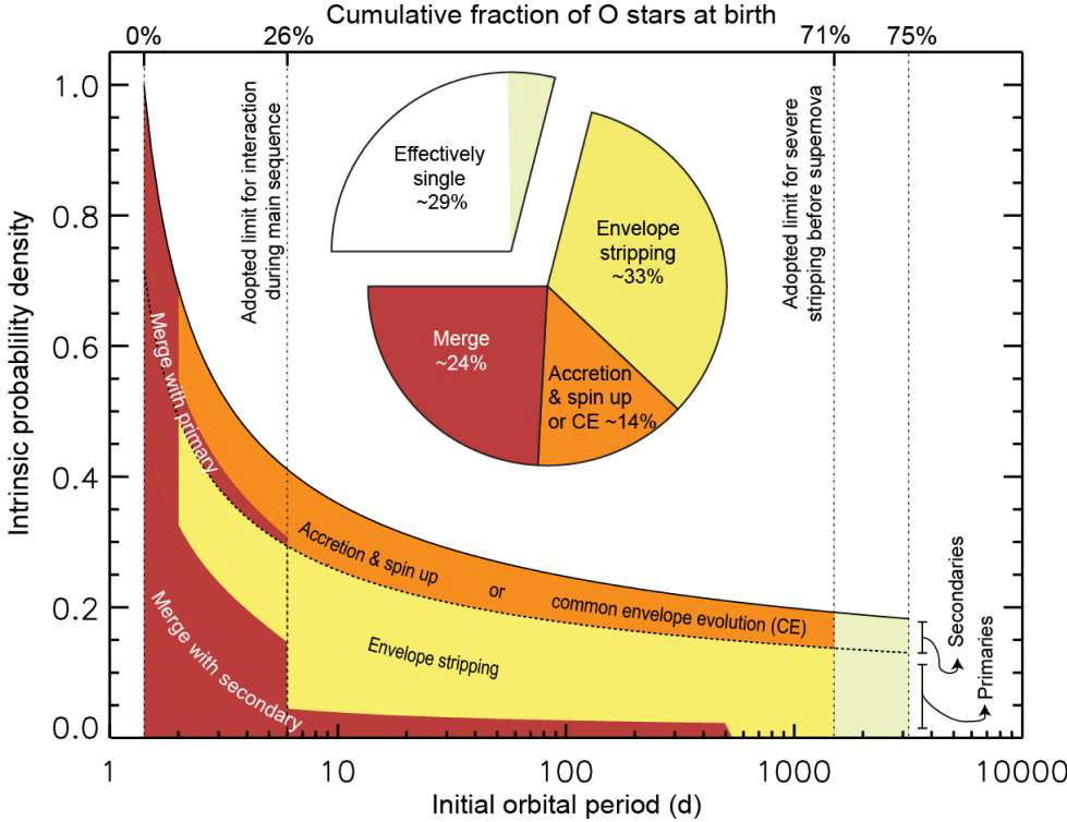 O형 별의 쌍성계 빈도 및 궤도 공전주기의 분포 ( Sana et al . 2010) . 실선은 O형 별의 태어날 때 궤도 공전주기의 분포를 나타내며, 점선으로 표시한 곡선은 주성과 반성을 나누는 선이며, 색은 쌍성계의 진화양상을 나타낸다.