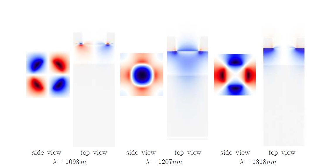 FDTD로 계산한 공진 모드 field profile