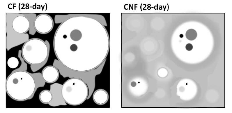 Schematic illustration of microstructure of CF and CNF at 28 days. White circle: unreacted fly ash particle; black area: void; lighter and darker gray: reaction product