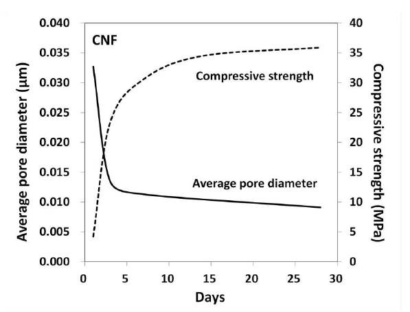 Evolution of average pore diameter (solid line) and compressive strength (dashed line) for CNF