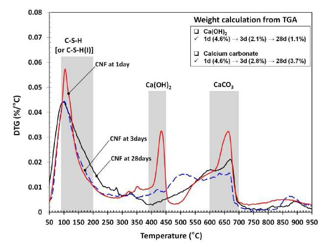 DTG curves of CNF at different ages. Shaded boxes indicate temperature ranges for dehydration of C-S-H, Ca(OH)2 and de-carbonation of CaCO3, respectively