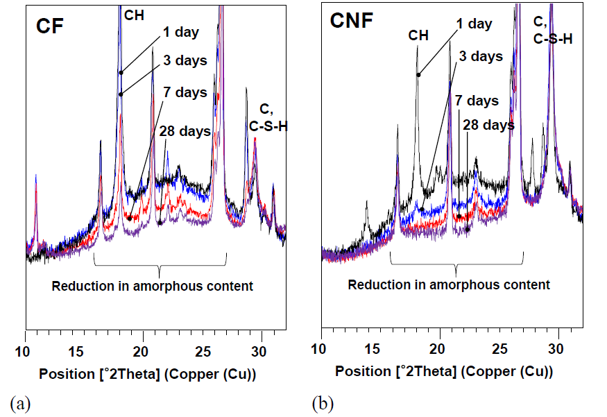 Progressive reduction of amorphous phase (10 to 32) and Ca(OH)2 as curing progresses for (a) CF and (b) CNF