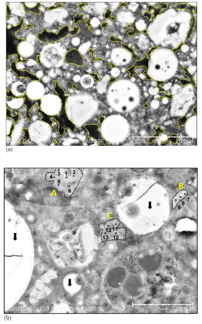 BSE images of polished samples at 28 days: (a) CF 2000, (b) CNF 2000