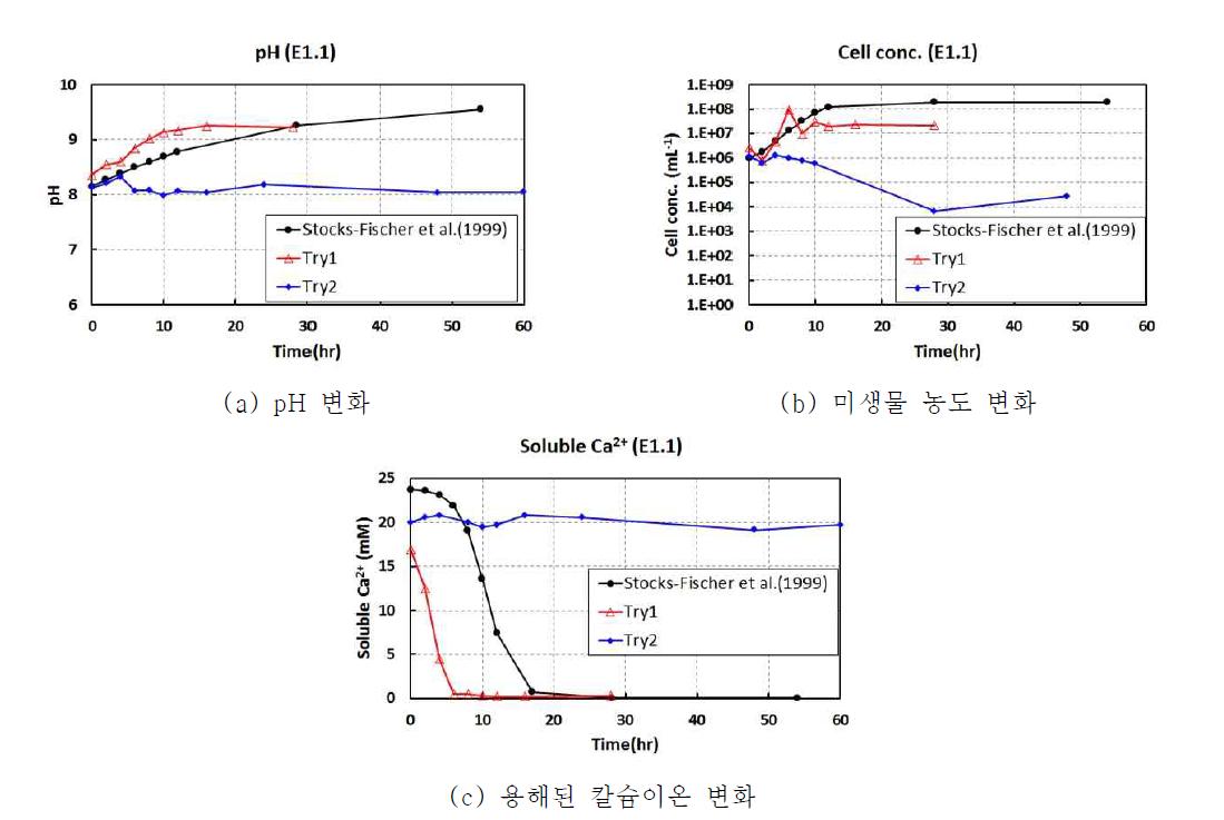 E1.1 조건에 대한 실험 결과