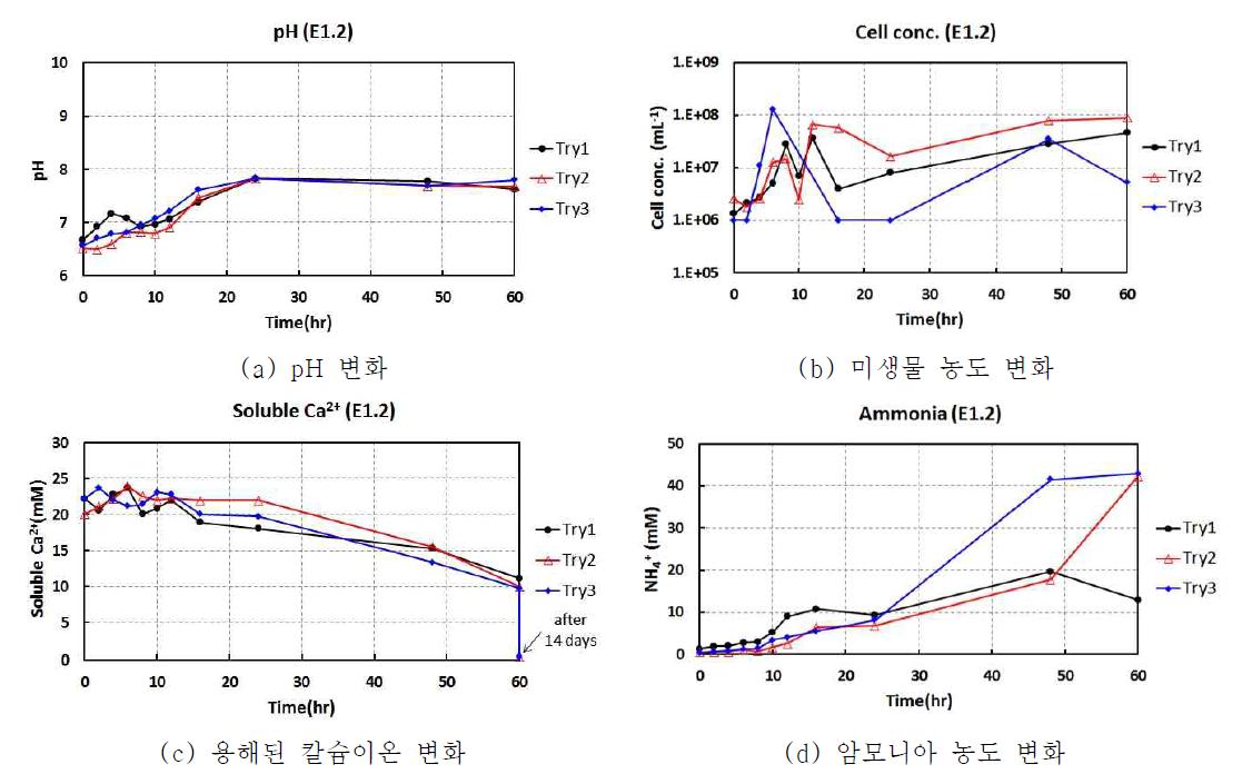 E1.2 조건에 대한 실험 결과