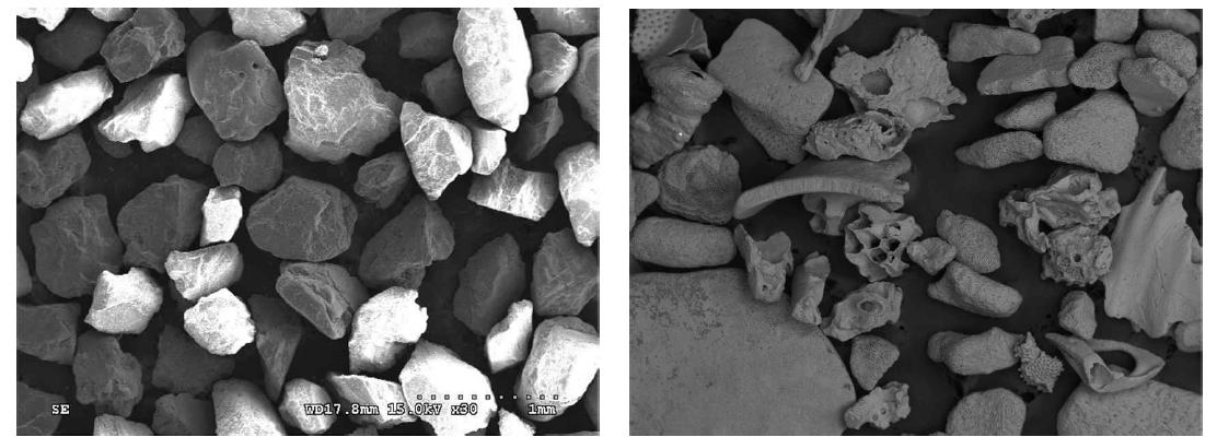 규산염 모래(주문진사, 좌)와 탄산염 모래(제주해사, 우)의 비교
