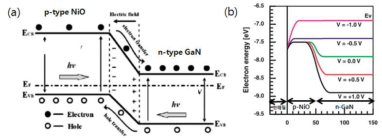 (a) p-NiO/n-GaN 접합 구조, (b) 인가전압에 따른 전해질/p-NiO/n-GaN의 valence band-edge energy structure