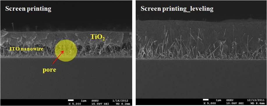 ITO 나노선위에 Screen printing 기법으로 코팅한 전계방사주사 현미경 이미지
