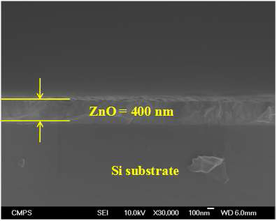 Si 기판위에 ZnO를 sputtering 방법으로 증착한 전계방 사 주사전자현미경 이미지
