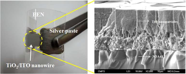 나노하이브리드 구조체를 유연기판에 부착시킨 실제 이미지(좌)와 전계방사 주사전자현미경 이미지 (우)