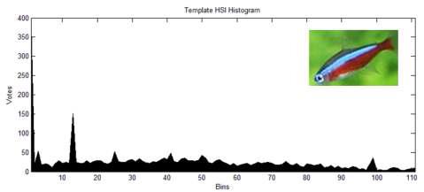 Histogram Template Matching에 사용된 Template와 HSI Histogram