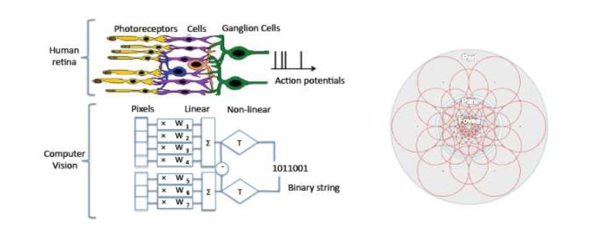 FREAK 알고리즘과 retinal sampling pattern