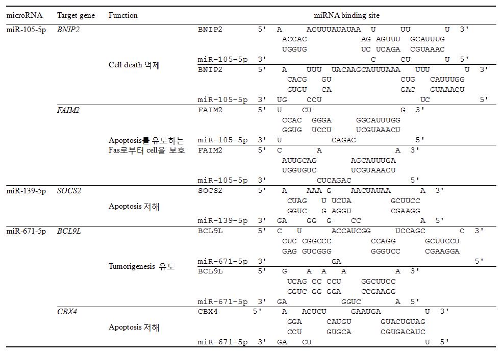 세포 생장과 세포 사멸에 영향을 미치는 cellular miRNA 및 예상 타겟 유전자 선정