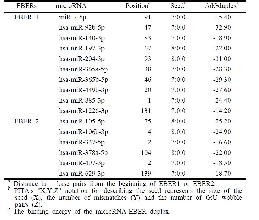 EBERs와 결합 가능성을 보이는 human miRNA 후보 선별