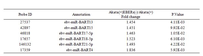 EBERs에 의해 조절되는 EBV microRNAs