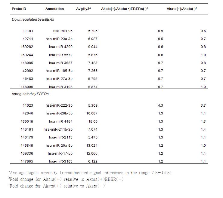 miRNA 마이크로어레이에서 EBERs에 의해 발현 변화를 보이는 microRNA 선별