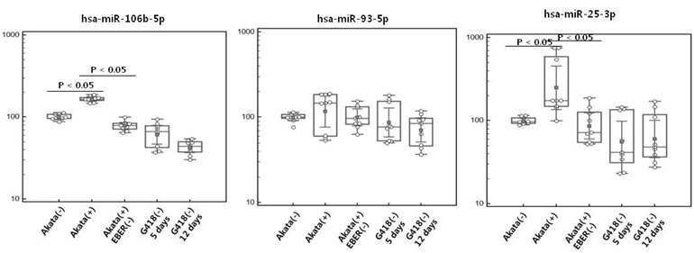 miR-106b~25 cluster miRNA의 발현 조사
