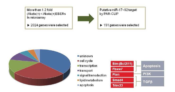 PAR-CLIP과 cDNA 마이크로어레이 통합 분석을 통한 miR-17~92 target gene 선별