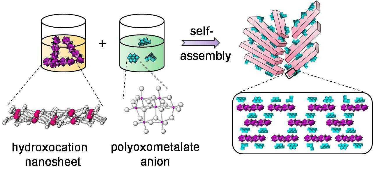 란탄족 수산화물 나노시트와 거대 무기 음이온의 자기조립에 의한 초격자구조 형성 모식도