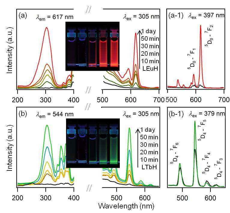 PL spectra monitored after mixing (a) LEuH and (b) LTbH colloidal solutions with paratungstate solution as a function of reaction time. Comparison of photoemission spectra of (a-1) LEuH and LEuH-W12 and (b-1) LTbH and LTbH-W12 powders. Black and red/green curves correspond to LRHs and LRH-W12, respectively. Insets: from left, photographs of each colloidal solution, paratungstate solution, and their mixed solution as a function of reaction time (10 and 50 min and 1 day after mixing) under 254 nm UV irradiation