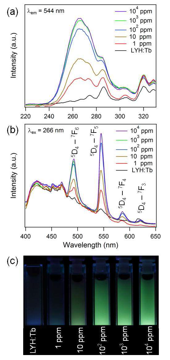 (a) Excitation (λem = 544 nm) and (b) emission (λex = 266 nm) spectra of LYH:Tb powders recovered 5 min after addition into aqueous tungstate solutions as a function of the tungstate concentration. (c) Photographs of the mixtures under 254 nm UV irradiation for 5 min after the addition of LYH:Tb into aqueous tungstate solutions with various concentrations