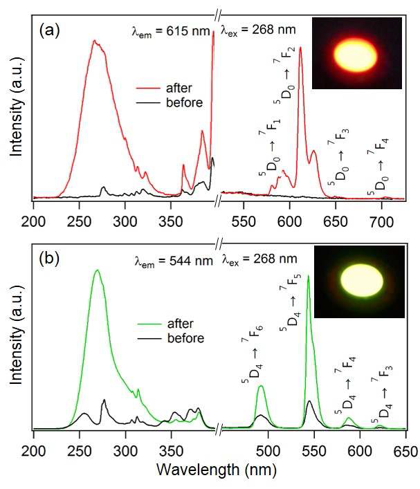 Excitation and emission spectra of (a) Gd1.80Eu0.20(OH)5Cl·1.5H2O (LGdH:Eu) and (b) Gd1.80Tb0.20(OH)5Cl5Cl·1.5H2O (LGdH:Tb) before and after calcination at 600℃. Inset: photographs of corresponding calcined powders (c-LGdH:Eu and c-LGdH:Tb) upon irradiation with 254 nm UV