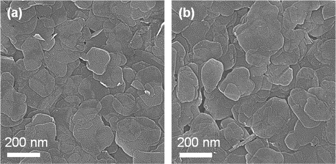 FE-SEM images of (a) LGdH:Eu and (b) LGdH:Tb nanosheets recovered from each colloidal suspension