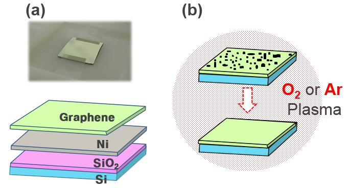 (a) 이번 실험에서 사용된 그라핀 샘플과 내부 구조. (b) 산소 또는 아르곤 플라즈마 처리를 통해 그라핀 위의 오염물질을 제거한다.