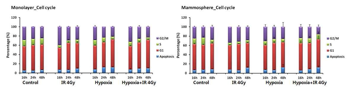 방사선 및 저산소에 의한 암세포/암줄기세포의 세포주기 변화 분석