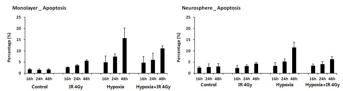 방사선 및 저산소 환경에 의한 암세포/암줄기세포의 apoptosis 분석