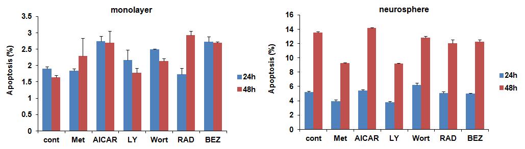 AMPK와 PI3K/AKT 활성조절 약제에 의한 암세포/암줄기세포의 apoptosis 변화 분석