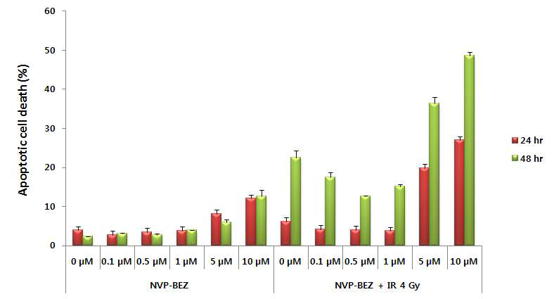 NVP-BEZ235에 의한 암세포의 apoptosis 분석