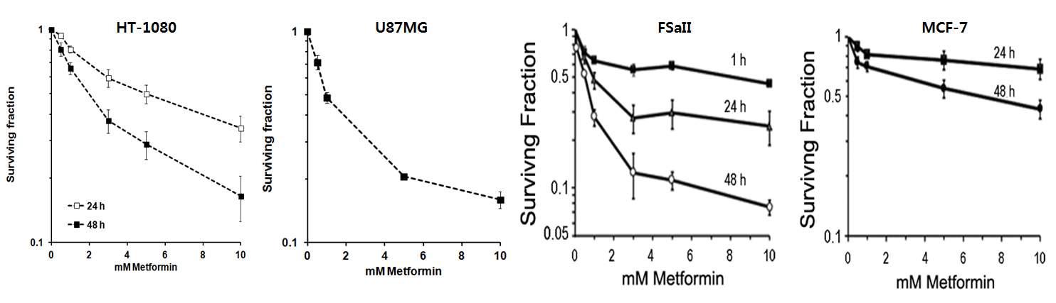 Metformin에 의한 clonogenic cell death 분석