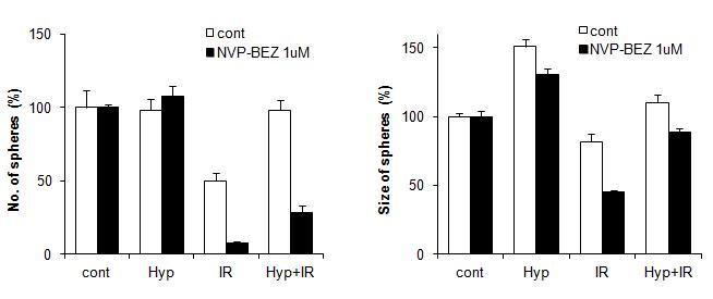 NVP-BEZ235이 방사선 및 저산소 환경의 암줄기세포 생존에 미치는 영향연구