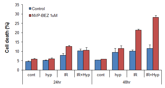 방사선 및 저산소 조건하에서 NVP-BEZ235에 의한 암세포의 apoptosis 분석