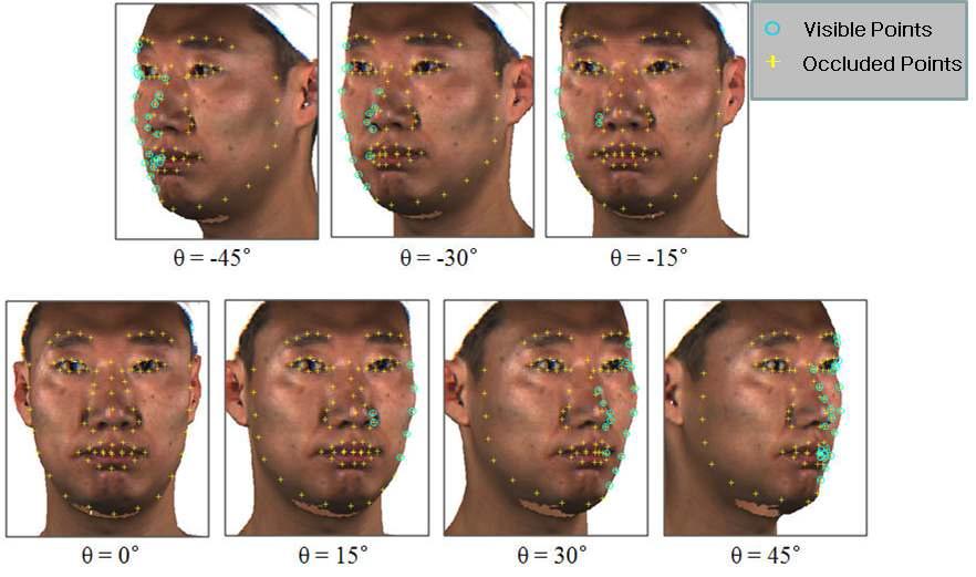 7가지 포즈 별 보이는 얼굴 특징 점들과 가려진 얼굴 특징 점들