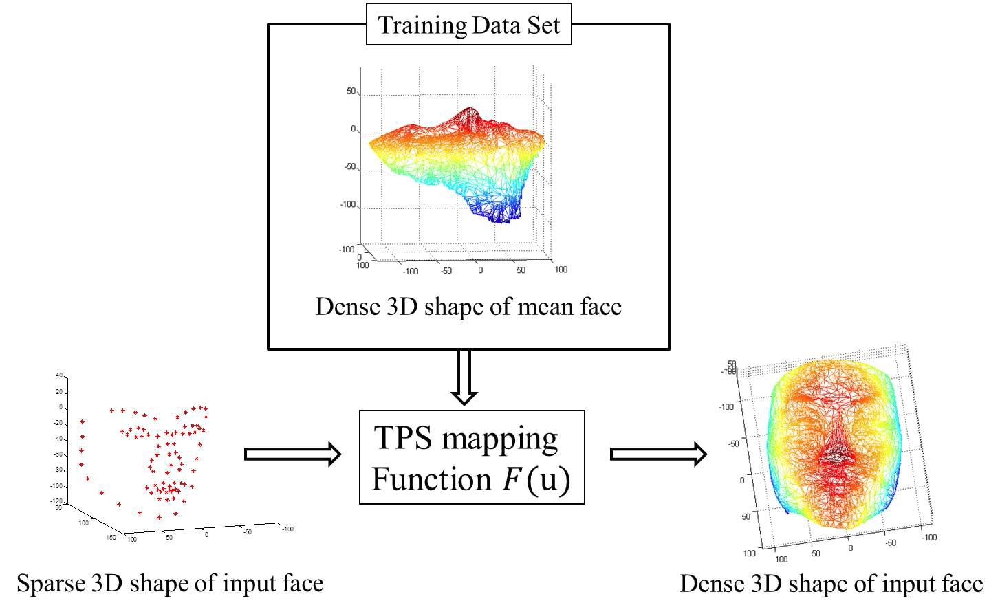 Thin Plate Spline(TPS)를 사용한 dense한 3차원 얼굴 shape 생성 과정