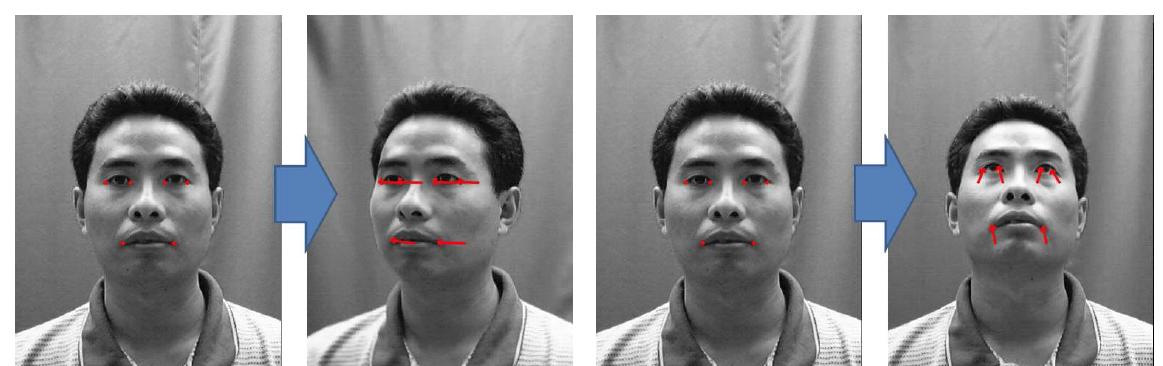 Optical flow를 사용한 얼굴 특징점 추적