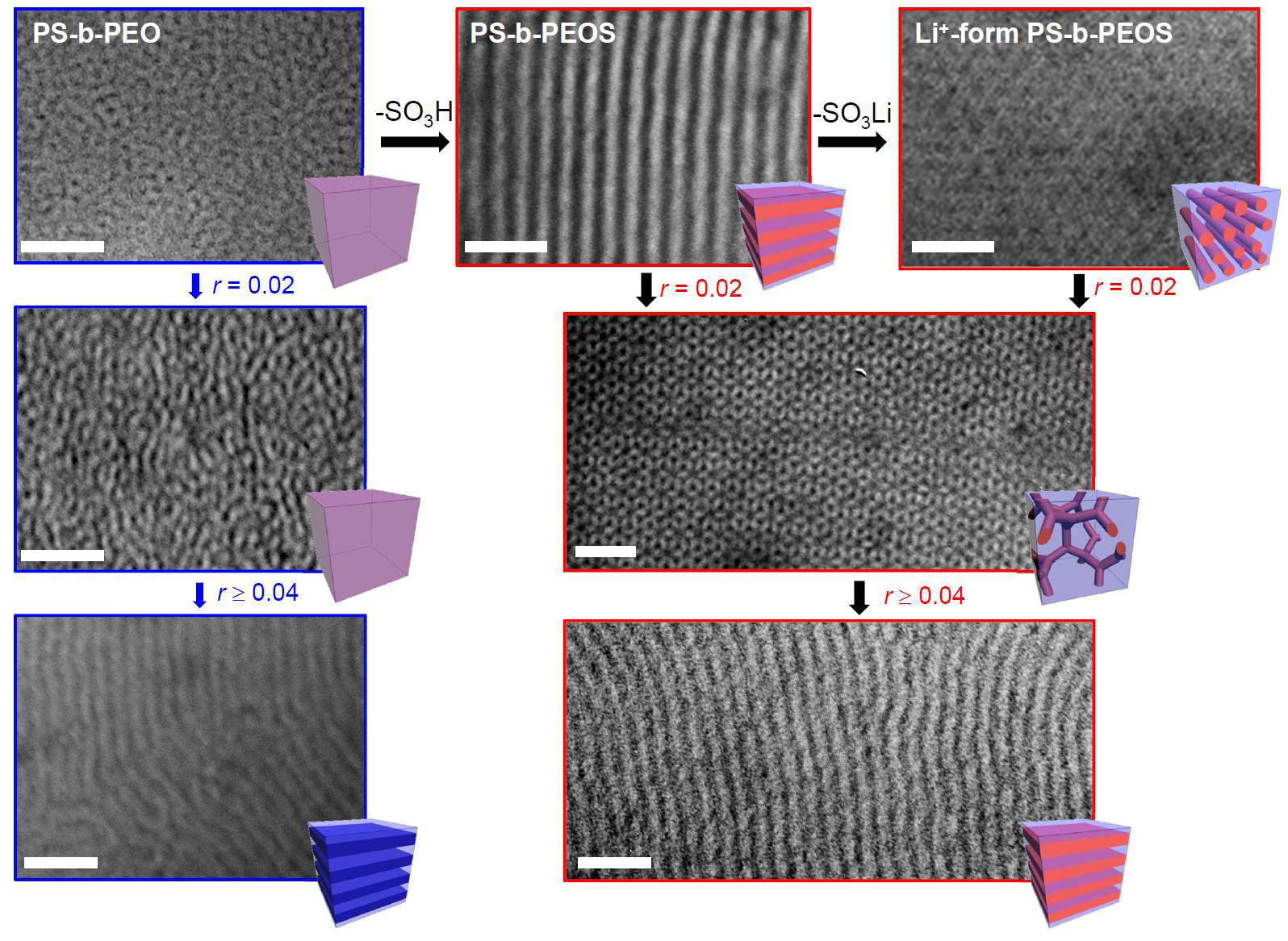 말단 치환기의 종류를 달리한 PS-PEO와 PS-PEOS 고분자의 salt 담지에 따른 모폴로지 변화를 보여주는 전자 현미경 사진
