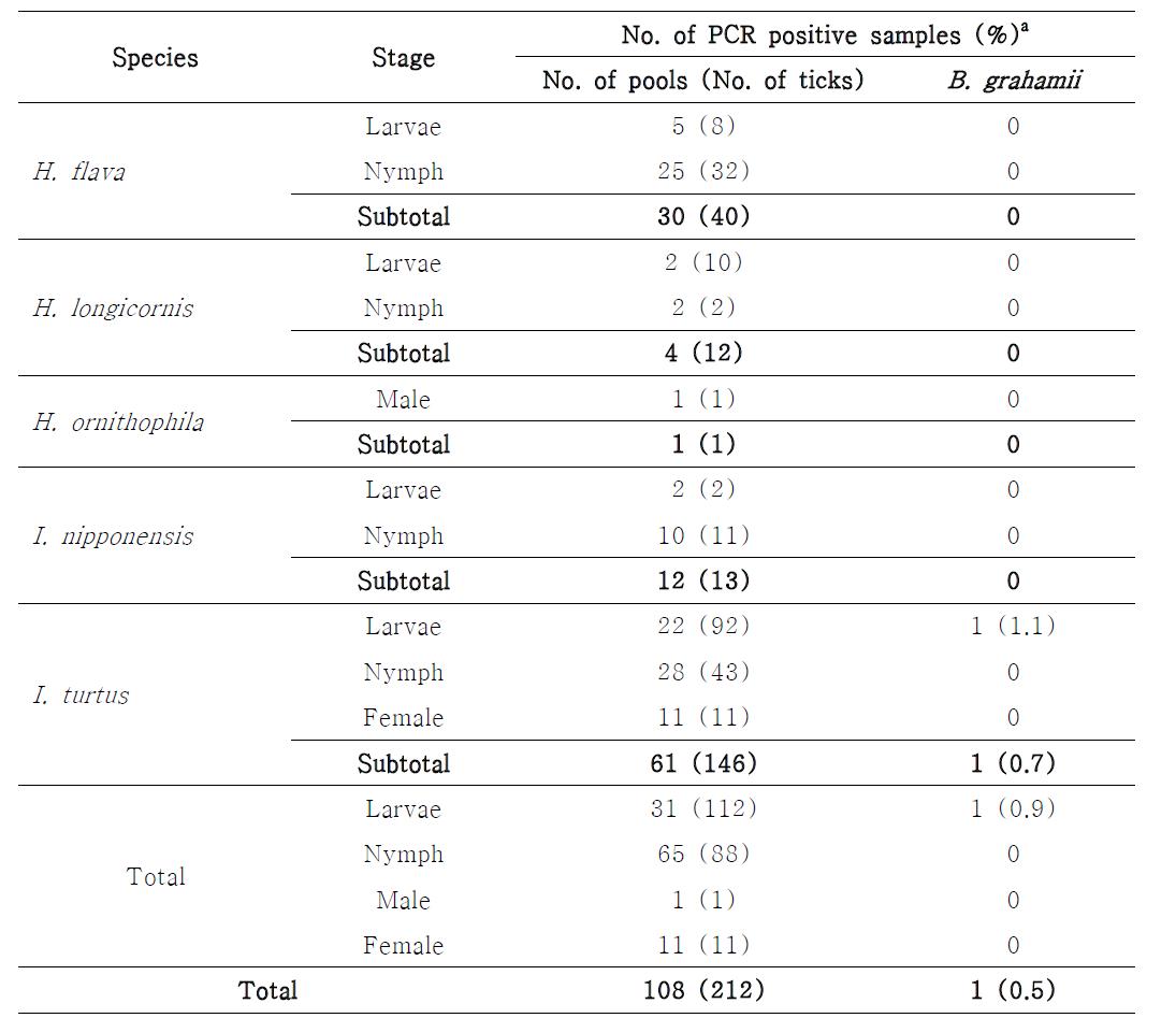 진드기 gDNA에서 검출된 Bartonella spp..