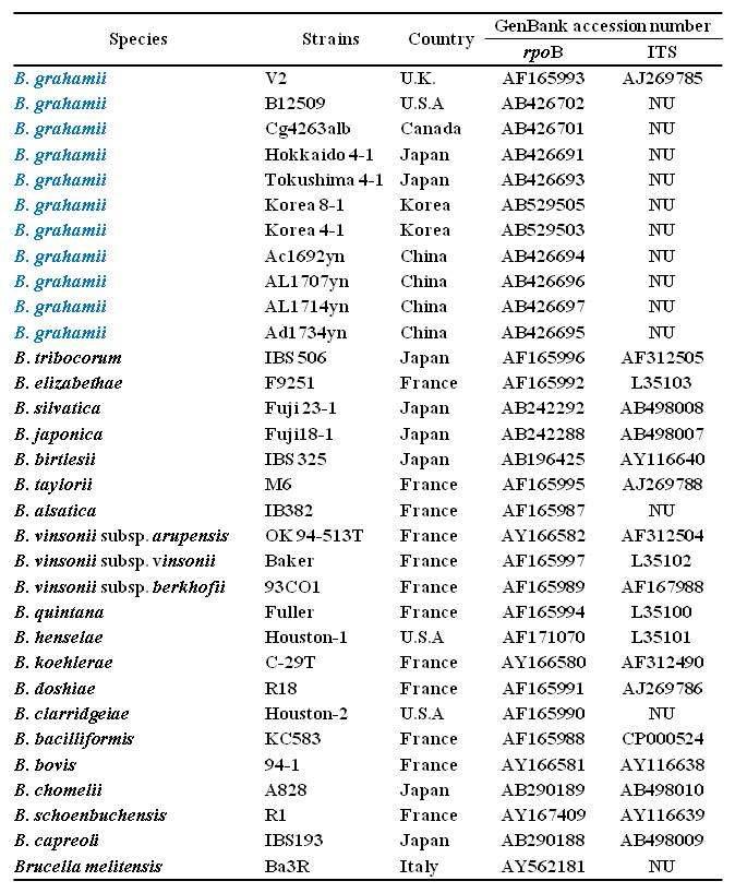 계통발생학적 분석을 위해 사용된 GeneBank accession numbers